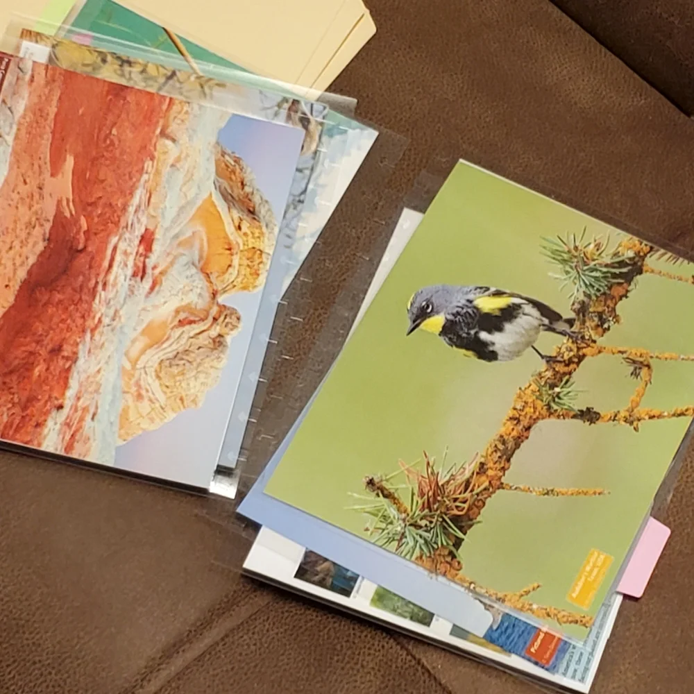 Homemade cover and 5 dashboards/dividers for a classic sized disc bound planner